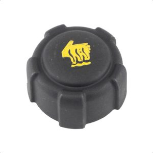 Tampa Radiador Kicks Clio Duster Sandero 1998 1999 A 2025